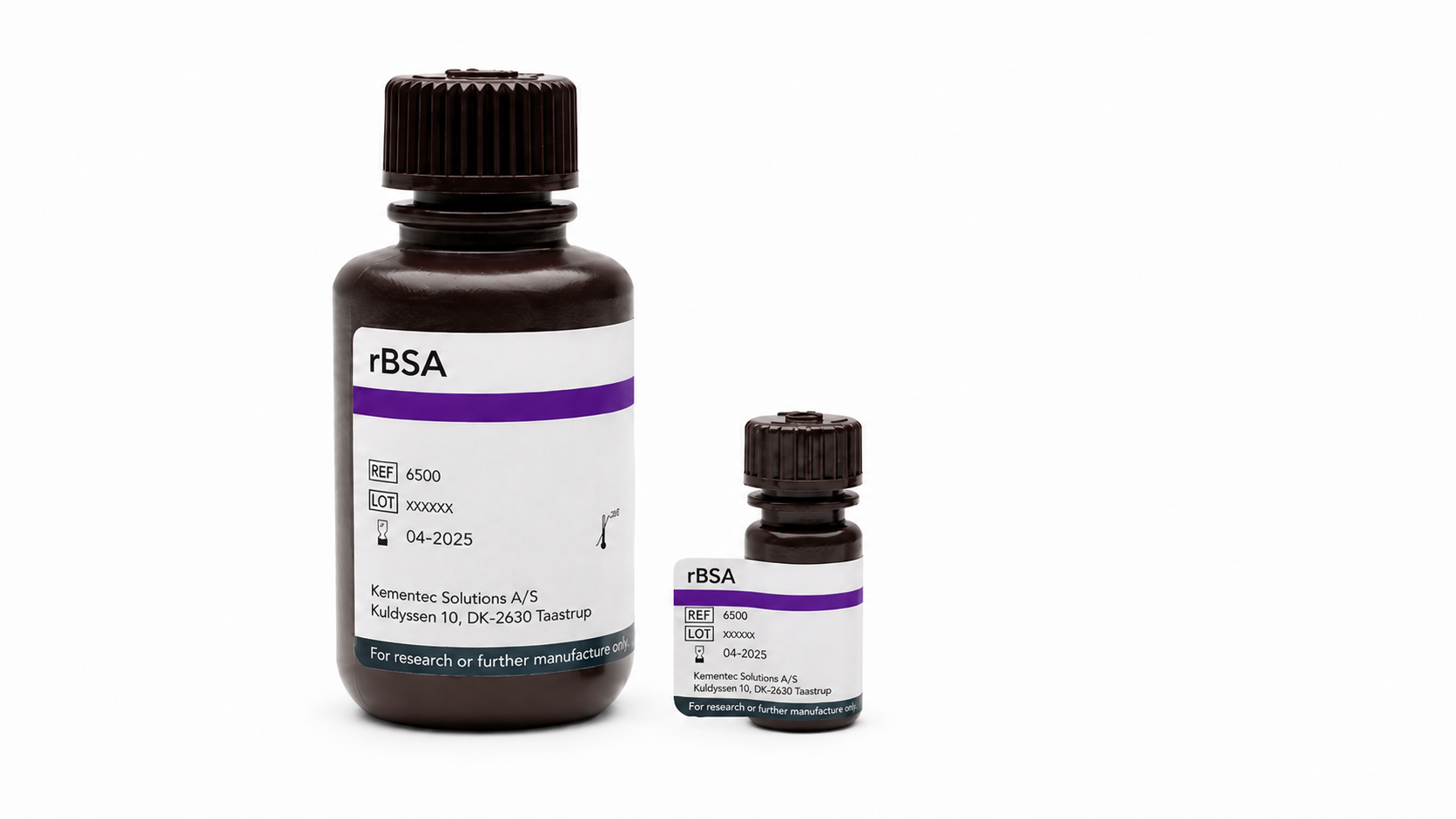 Recombinant Bovine Serum Albumin (rBSA)